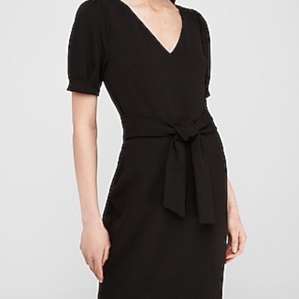 Express Puff Sleeve Tie Waist Sheath Dress